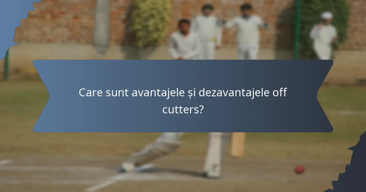 Care sunt avantajele și dezavantajele off cutters?