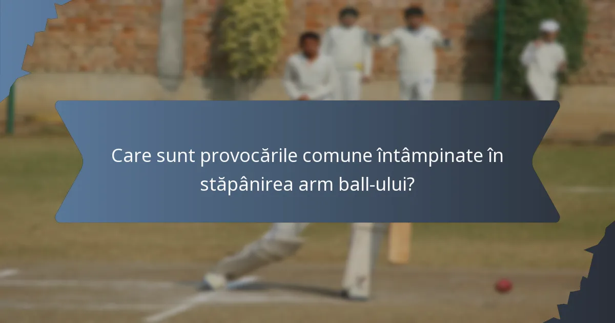 Care sunt provocările comune întâmpinate în stăpânirea arm ball-ului?